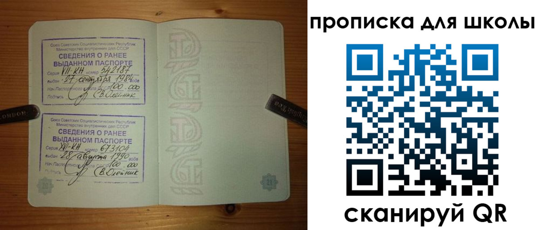 прописка для школы в Светлом